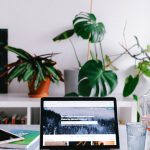 Unlocking Your Potential: How to Make Money on Fiverr in 2026